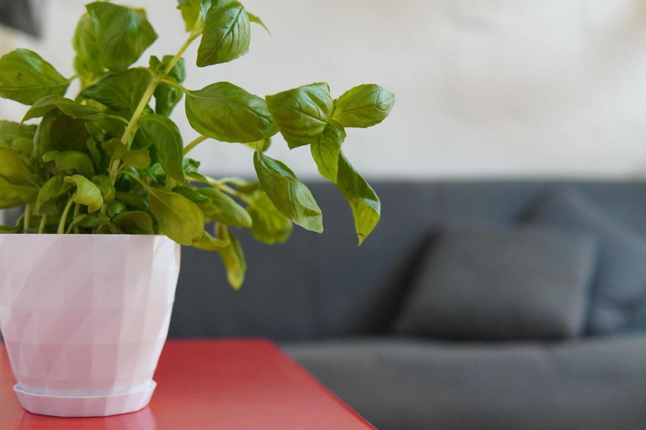 Cospicua Il-Mezzanine Private Traditional And Walking Distance To Bus Terminus 빌라 외부 사진